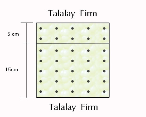 Lattice Talalay Firm